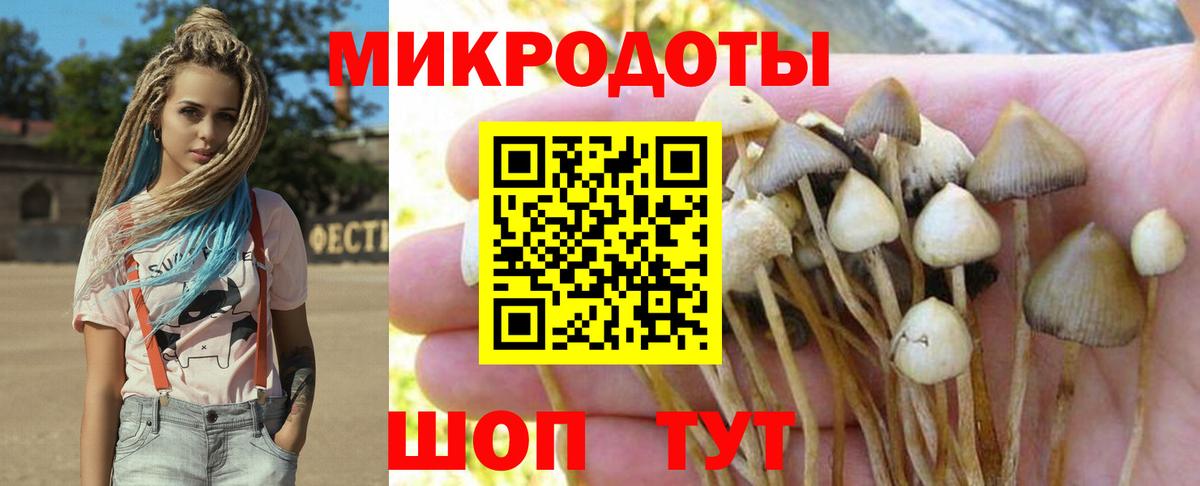 Галлюциногенные грибы прущие грибы Череповец