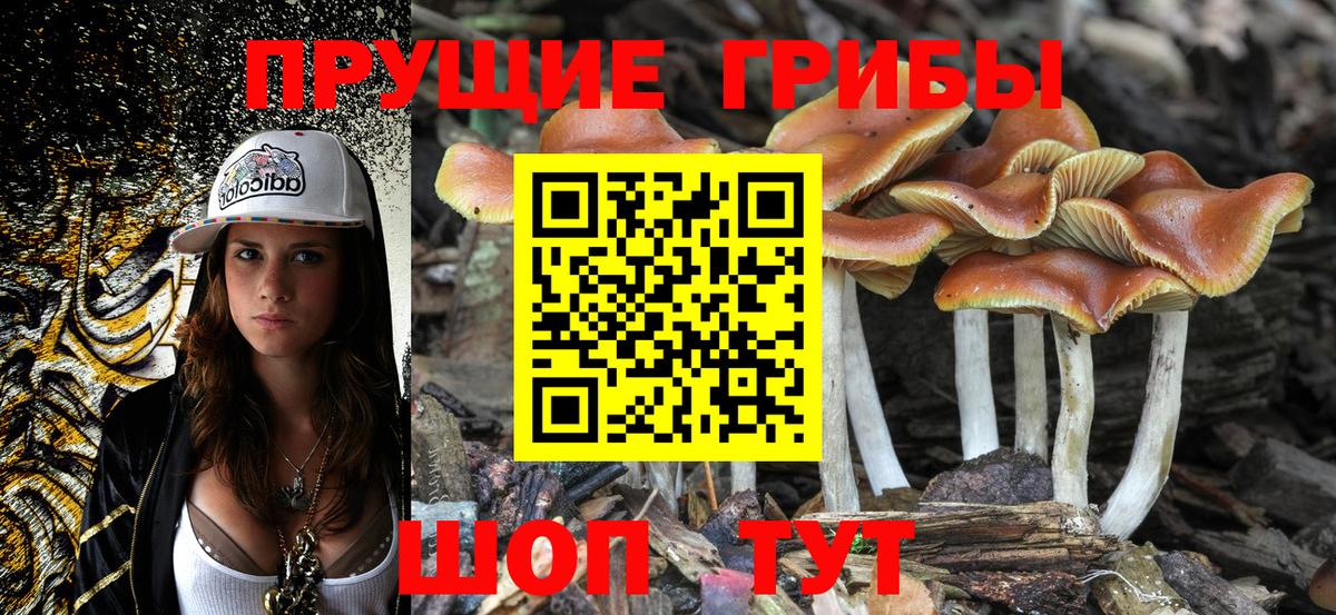 Псилоцибиновые грибы мицелий  Вход с VPN  Череповец 